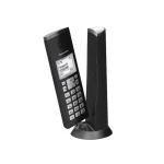 تلفن بی سیم پاناسونیک KX-TGK210